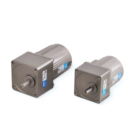 微型交流減速電機(jī)60W