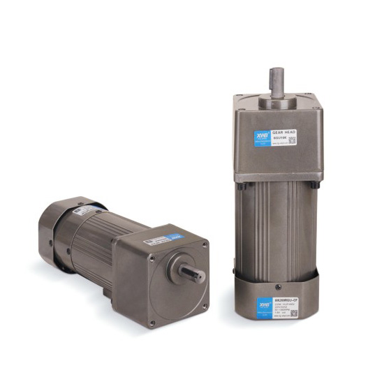 微型交流減速電機(jī)200W